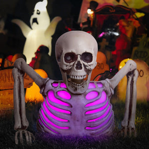 10" Colorful Groundbreaker Skeleton - PopFun