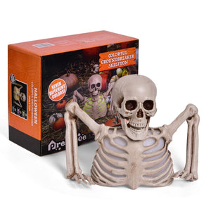 10" Colorful Groundbreaker Skeleton - PopFun