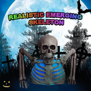 10" Colorful Groundbreaker Skeleton - PopFun