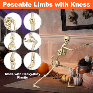 24" Adjustables Skeleton Prop - PopFun