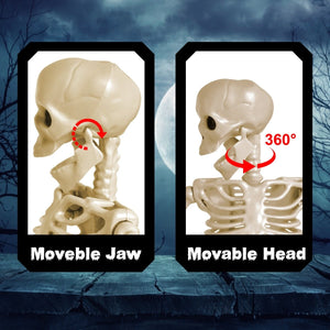 24" Adjustables Skeleton Prop - PopFun