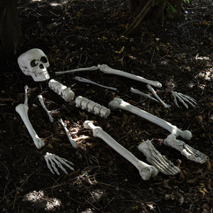 Bag of Bones - PopFun