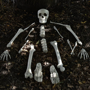 Bag of Bones - PopFun