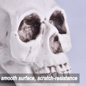 Bag of Bones - PopFun