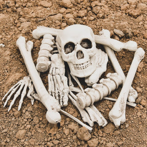 Bag of Bones - PopFun