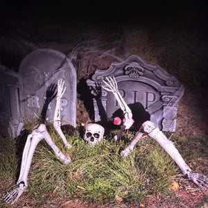 Buried Skeleton - PopFun