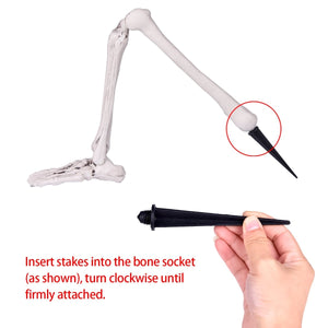 Buried Skeleton - PopFun