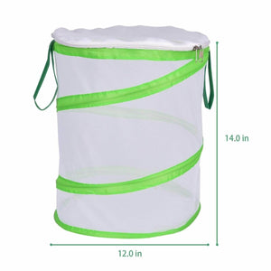 Butterfly Habitat | PopFun