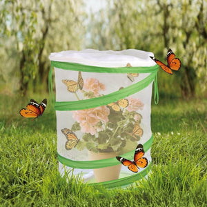 Butterfly Habitat | PopFun
