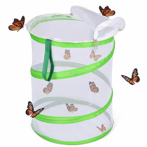 Butterfly Habitat | PopFun