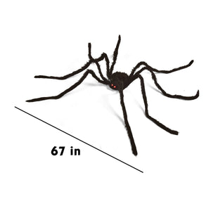 Crawling Spider - PopFun