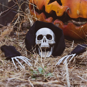 Easy-Set-Up Halloween Skeleton Ground Stakes - PopFun