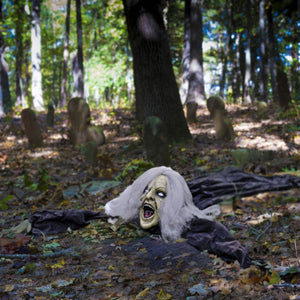 Groundbreaker Zombie - PopFun