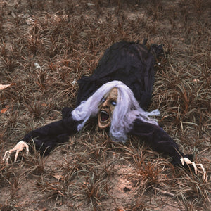 Groundbreaker Zombie - PopFun