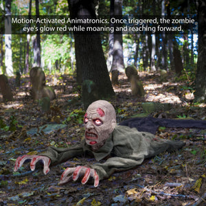 Halloween Crawling Zombie - PopFun