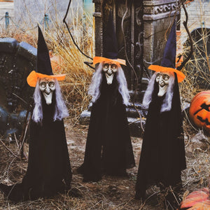 Halloween Lawn Witches - PopFun