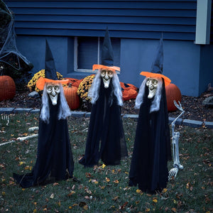 Halloween Lawn Witches - PopFun