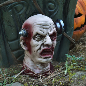 Hanging Zombie Head - PopFun