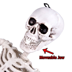 Posable Hanging Skeleton - PopFun