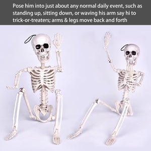 Posable Hanging Skeleton - PopFun