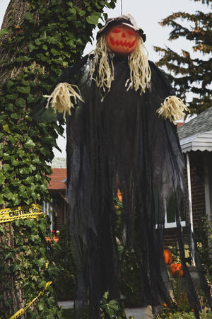 Pumpkin Man - PopFun