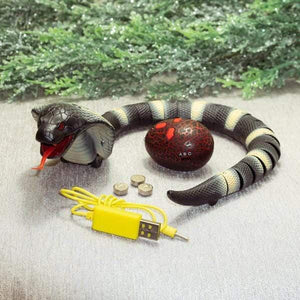 Remote Control Snake Toy for Kids - PopFun