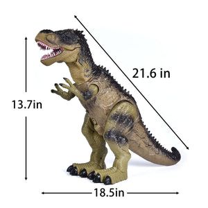 Remote Control Water Spraying Dinosaur Toy - PopFun