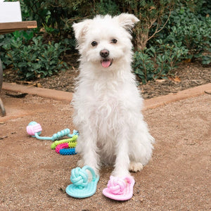 Rope and Slippers Chew Toy Set for Pets - PopFun