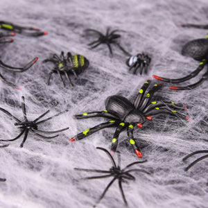 Spider Bundle - PopFun