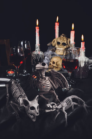 Tiny Skeleton Collection - PopFun