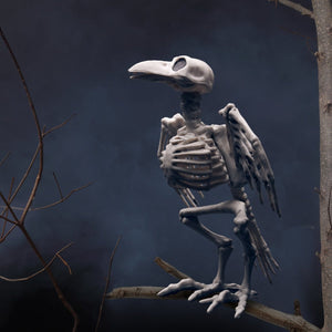 Tiny Skeleton Collection - PopFun