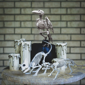 Tiny Skeleton Collection - PopFun