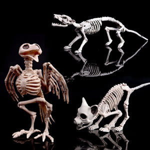 Tiny Skeleton Collection - PopFun