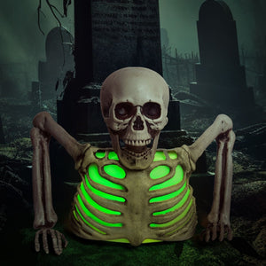 10" Colorful Groundbreaker Skeleton - PopFun
