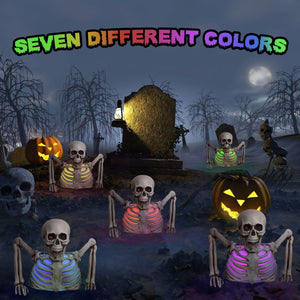 10" Colorful Groundbreaker Skeleton - PopFun