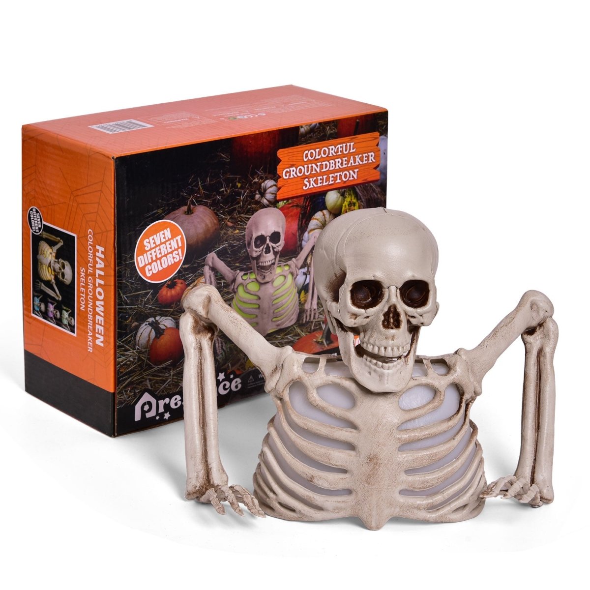 10" Colorful Groundbreaker Skeleton - Wholesale - PopFun
