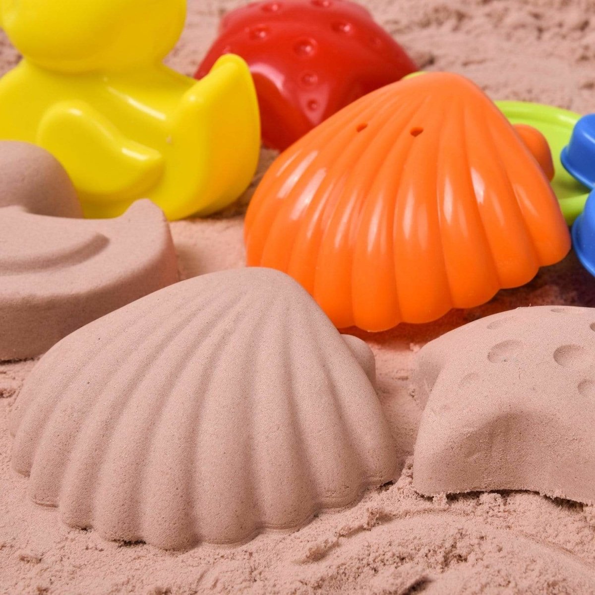 Sea Animal Beach & Sand Toys for Kids 19 Pcs l PopFun