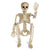 24" Adjustables Skeleton Prop - PopFun