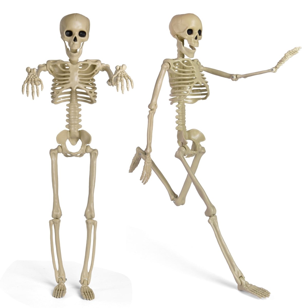 24" Adjustables Skeleton Prop - PopFun