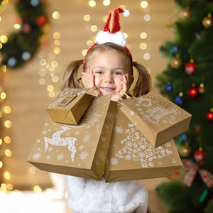 24PCS Christmas Gift Bags Bulk with Handles - PopFun