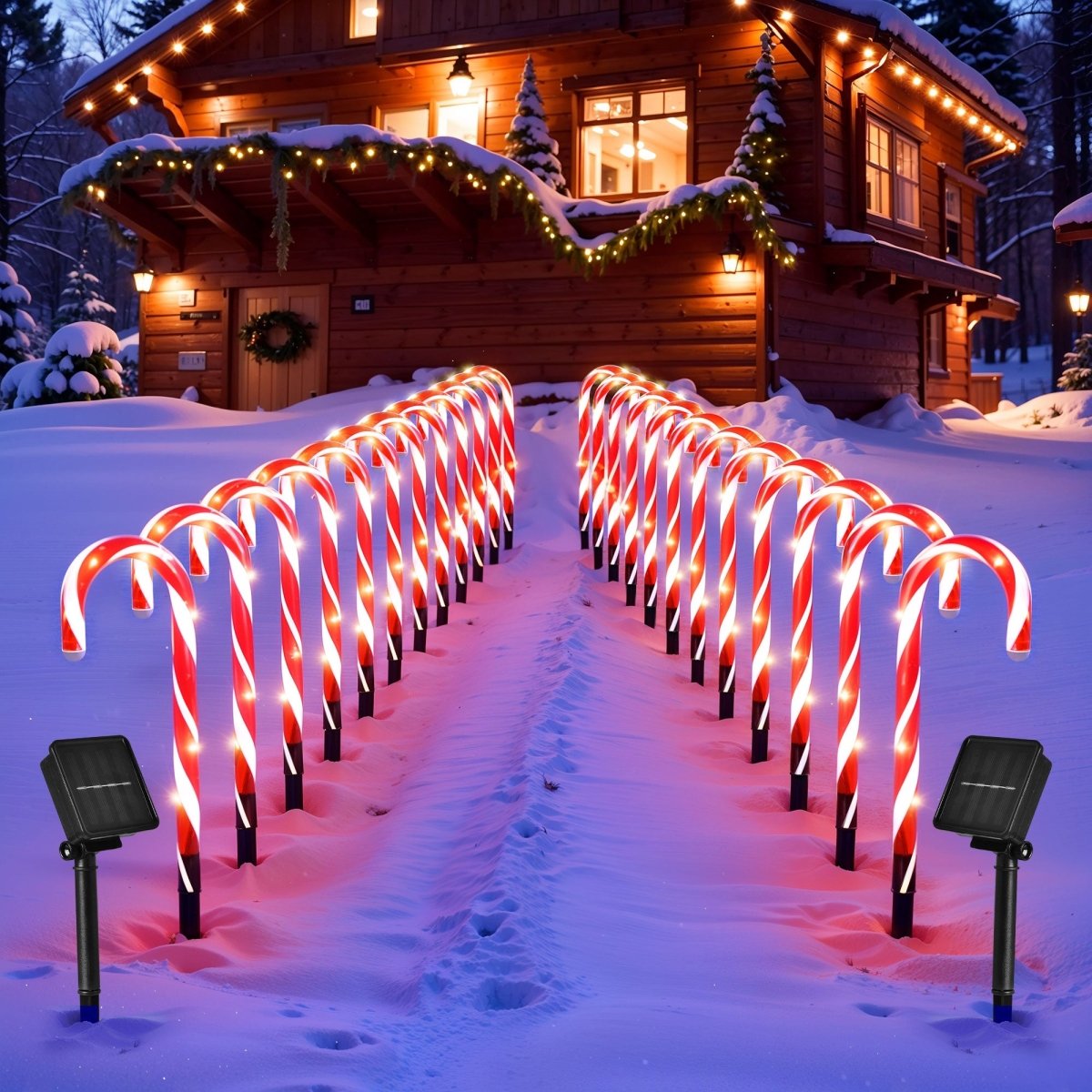 Cane Solar 24PCS Christmas Candy Cane Solar Powered LED Lights (2 Pack) | PopFun