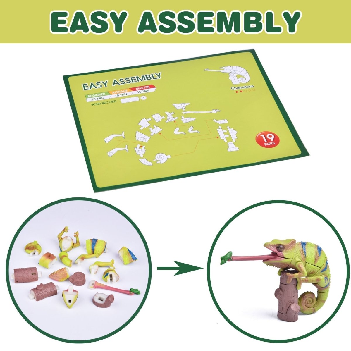 6 Pack 3D Insect Puzzle | PopFun