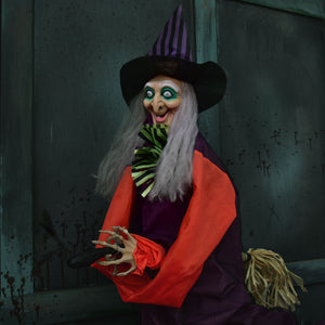 Broom-Riding Witch