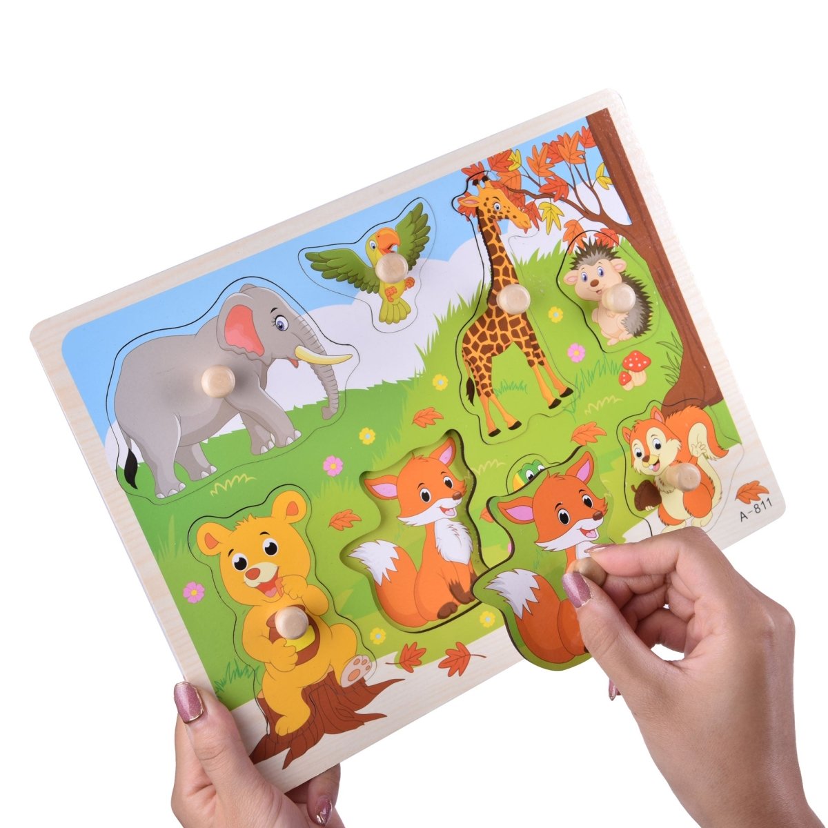 Alphabet Numbers and Animal Puzzles - PopFun