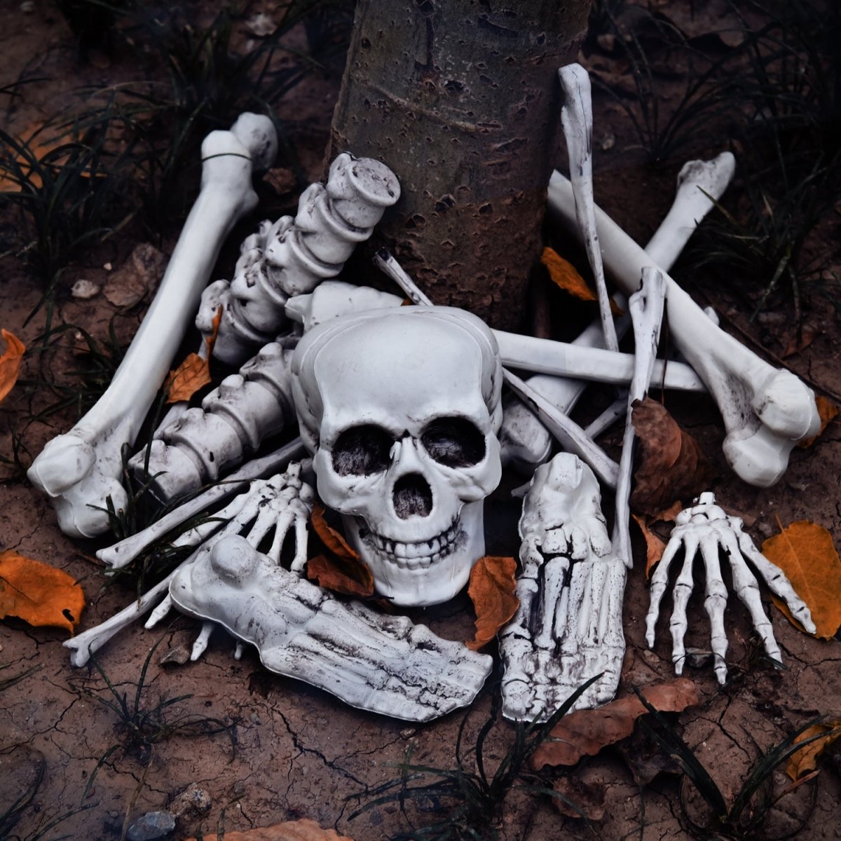Bag of Bones - PopFun