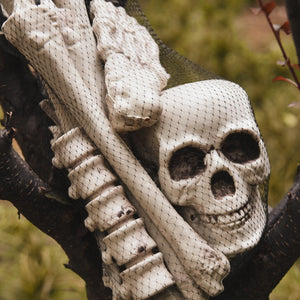 Bag of Bones - PopFun