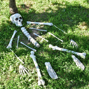 Bag of Bones - PopFun