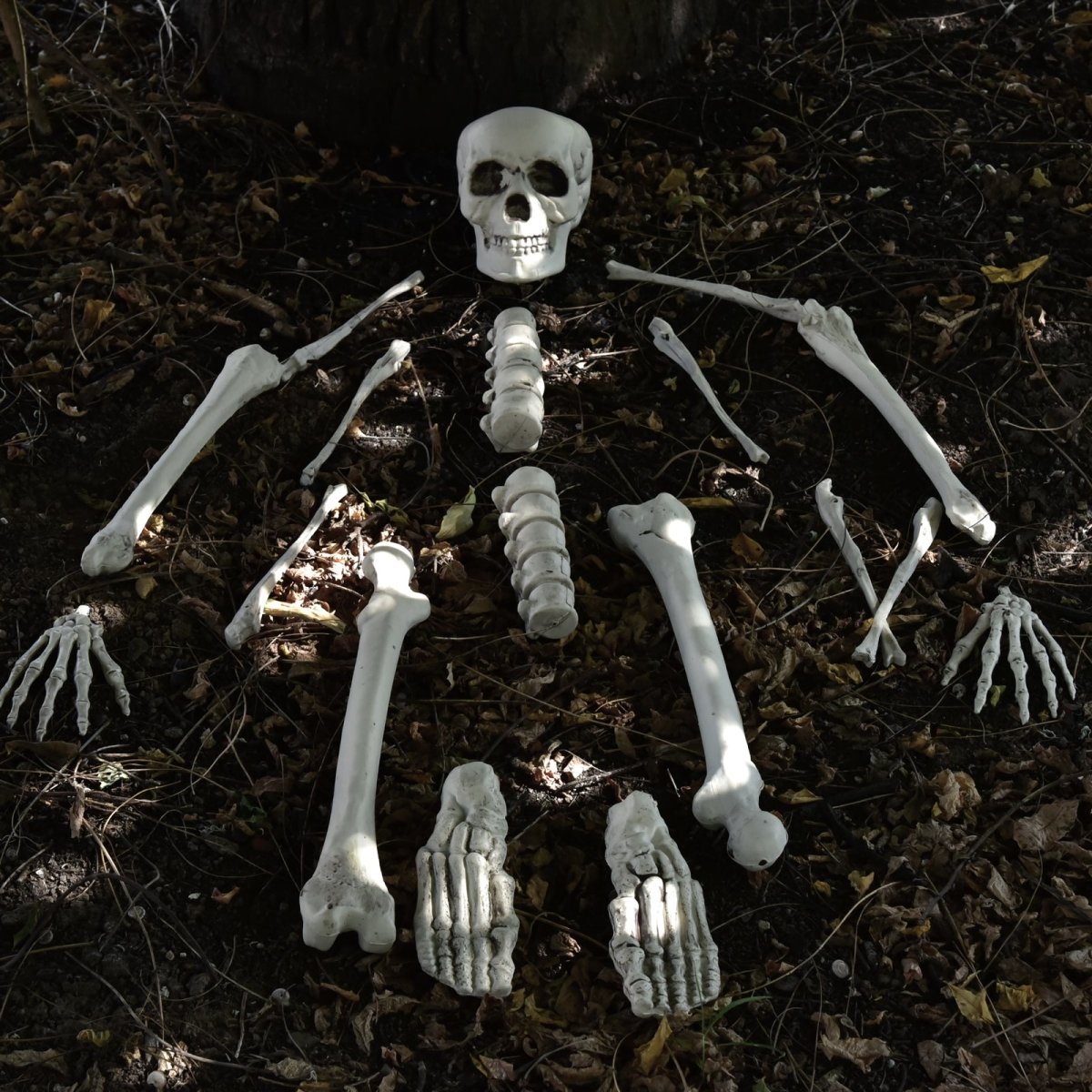 Bag of Bones - PopFun