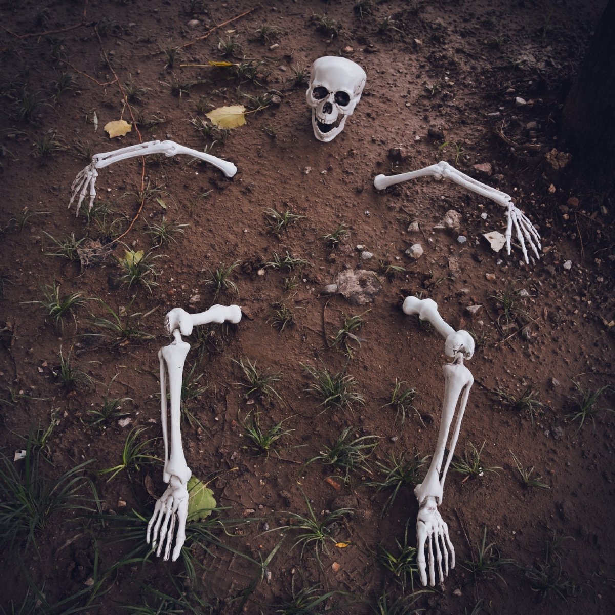 Buried Skeleton - PopFun
