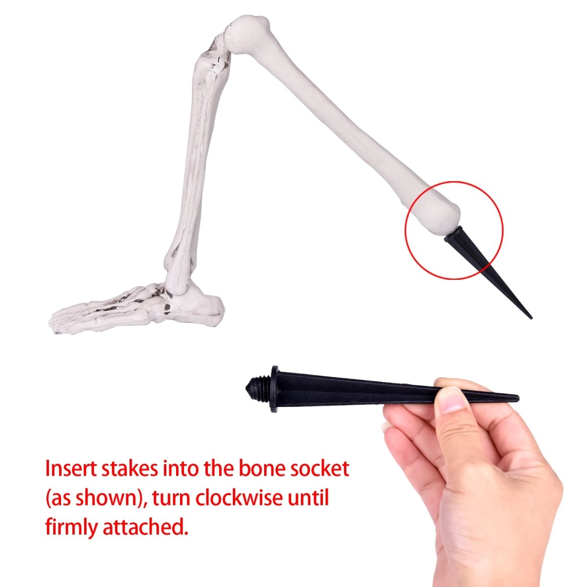 Buried Skeleton - PopFun